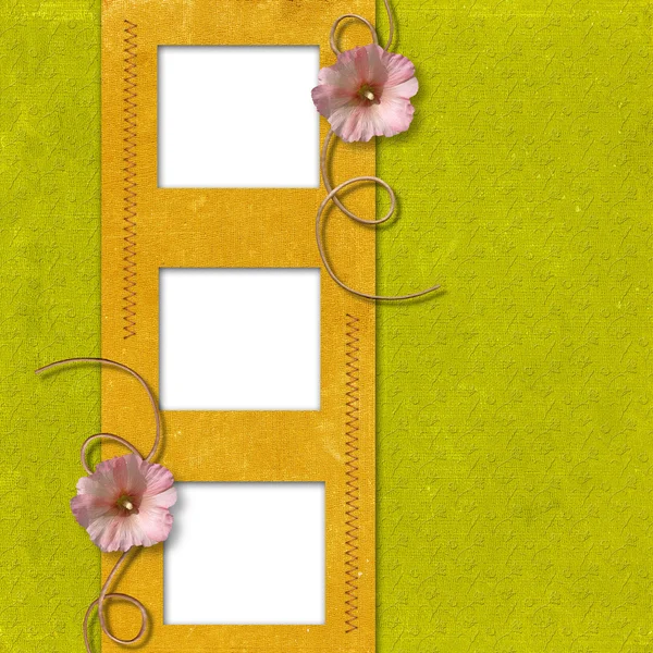Frames met kaasjeskruid bloemen — Stockfoto
