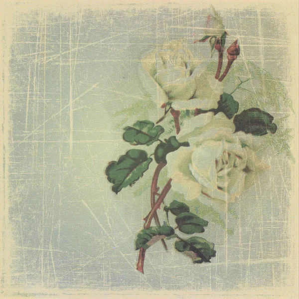 Vieux papier froissé aux roses — Photo