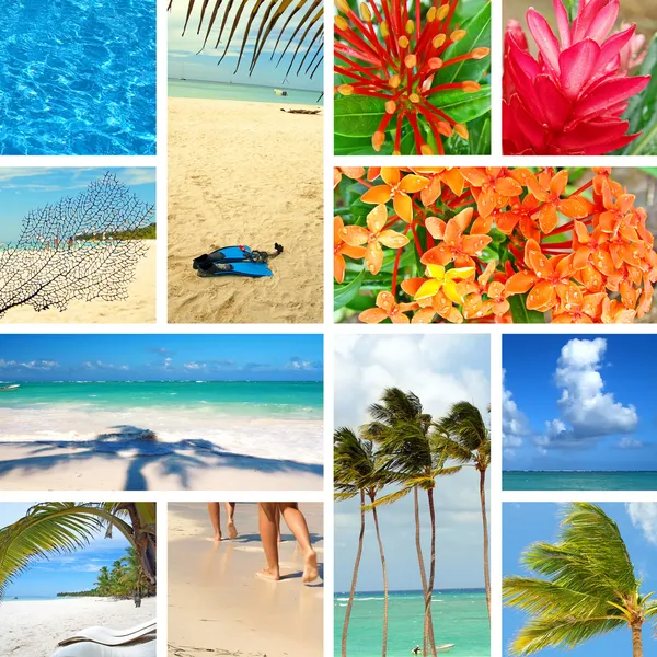 Collage tropical. Viaje exótico . —  Fotos de Stock