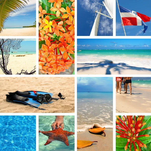 Tropische Collage. Exotische Reisen. Stockbild