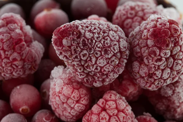 速冻的树莓 — 图库照片