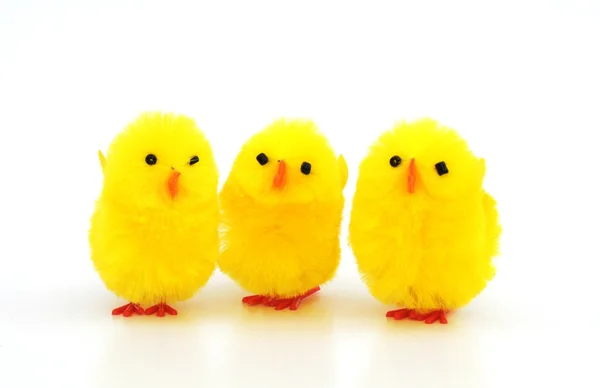 Ostern Hühnerdekorationen Isoliert Auf Weißem Hintergrund — Stockfoto