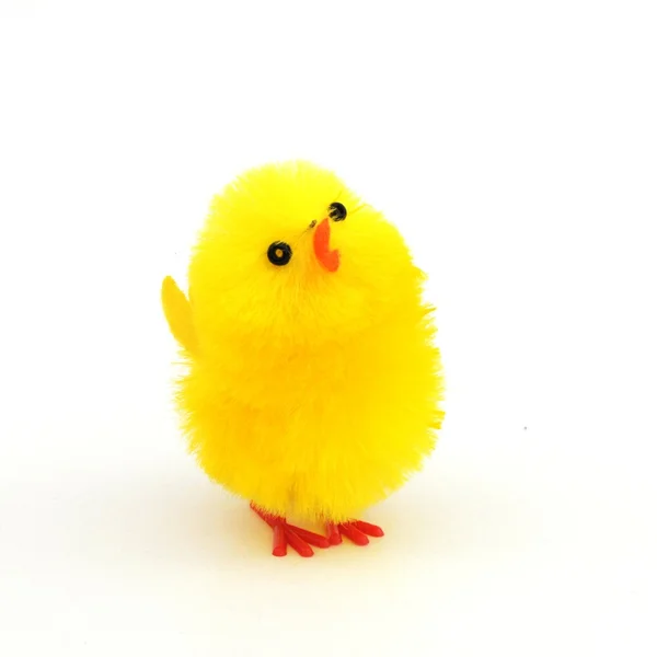 Paskalya tavuk süslemeleri — Stok fotoğraf
