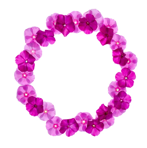 Marco floral rosa — Foto de Stock