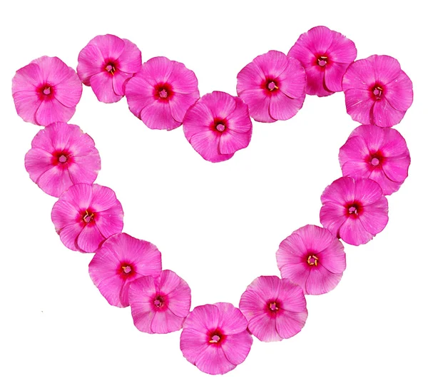 Rózsaszín virágos keret — Stock Fotó