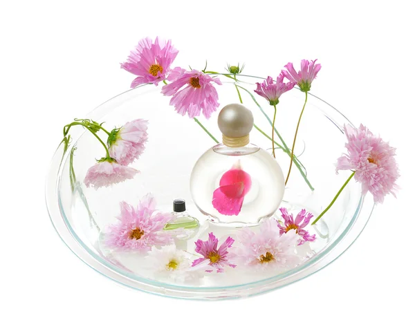 핑크 꽃과 아로마 테라피 — 스톡 사진