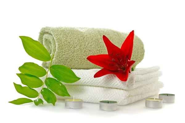 Spa with red lily Stock Image