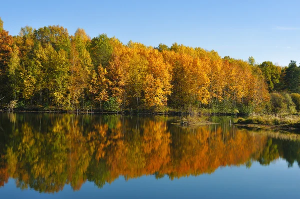 stock image Autumn lake