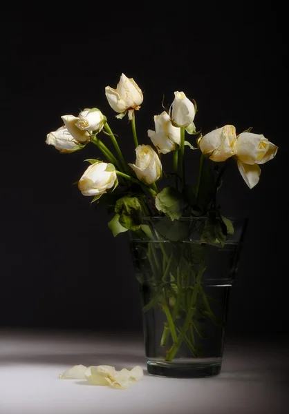 Μάτσο άσπρα τριαντάφυλλα — Φωτογραφία Αρχείου