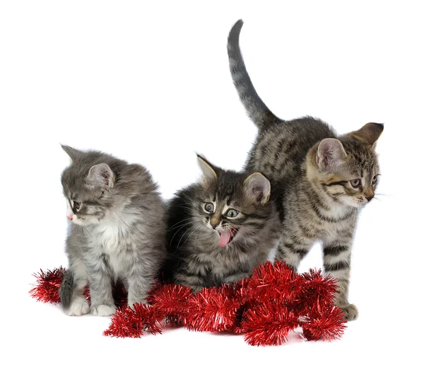 Drie Kittens Met Rode Klatergoud Witte Achtergrond — Stockfoto