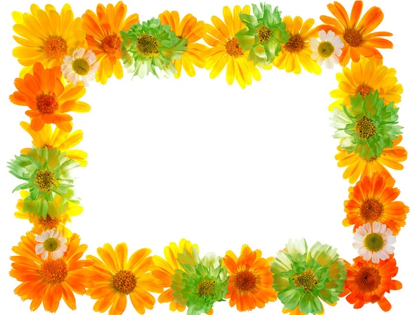 Květinový rámeček — Stock fotografie