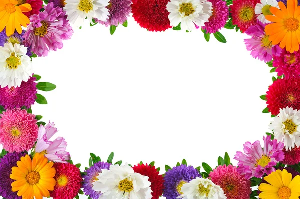 Marco floral — Foto de Stock