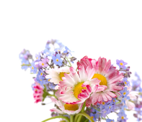 Μπουκέτο με λουλούδια άνοιξη — Φωτογραφία Αρχείου