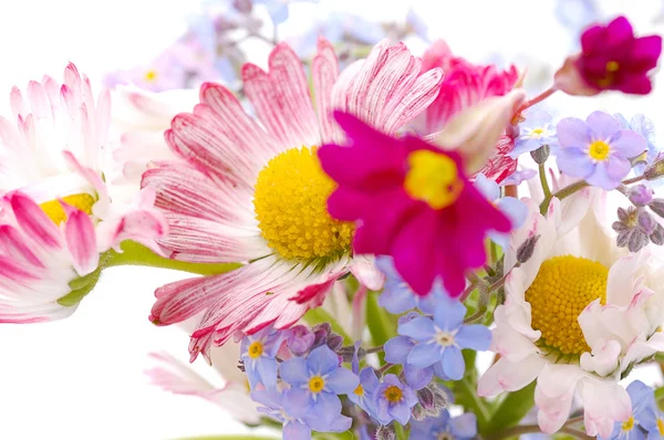 Маленький букет весенних цветов — стоковое фото