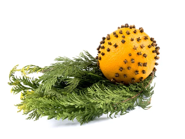 Décoration de Noël - orange avec clous de girofle et branches de thuja — Photo