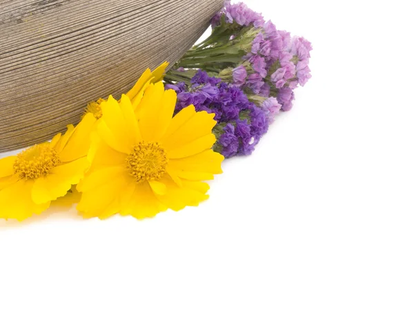 Composição de flores de verão — Fotografia de Stock