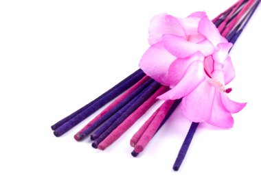 Purple incense and pink cactus flower clipart