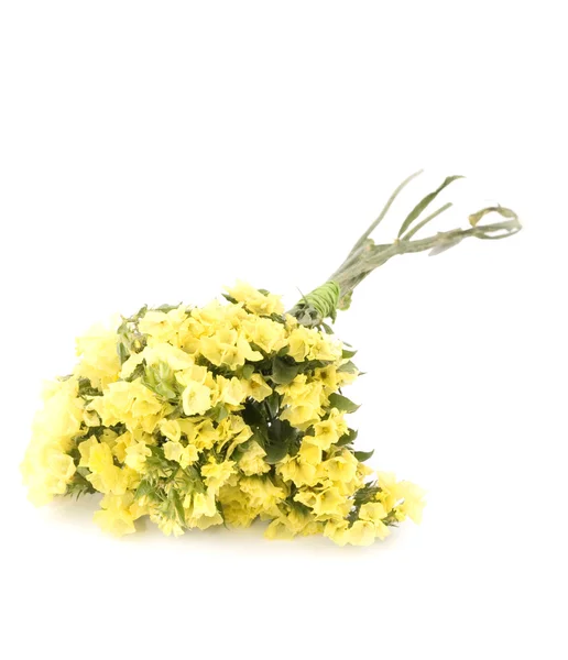 Pequeno Buquê Flores Estatísticas Amarelas Fundo Branco — Fotografia de Stock