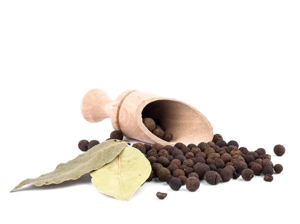 Allspice berries and bay leaf — Stock Photo, Image