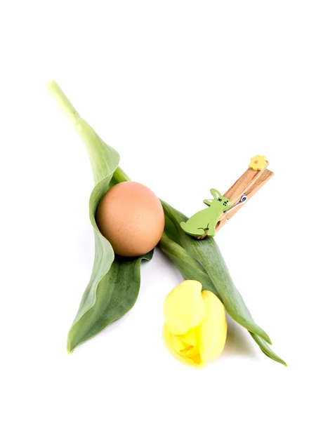 stock image Easter decoration - tulip and egg