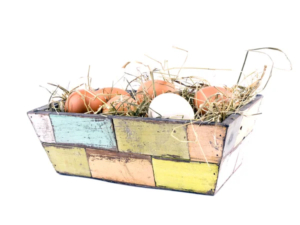 Five Brown Eggs One White Egg Old Fashioned Flowerpot Filled — Stock Photo, Image