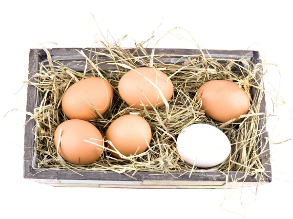 Fresh Eggs Old Fashioned Flowerpot Filled Hay White Background — Stock Photo, Image