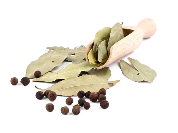 Allspice berries with wooden shovel and laurel — Stock Photo, Image