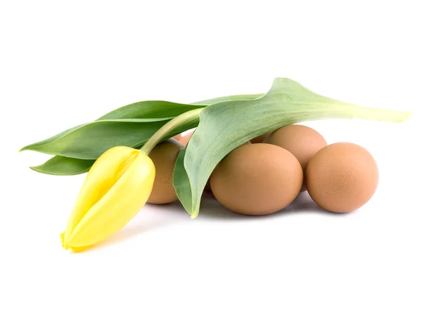 Fresh Eggs Yellow Tulip White Background — Stock Photo, Image