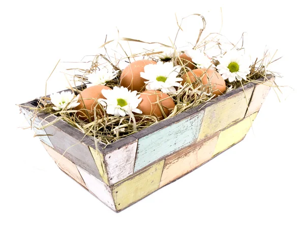 Fresh Eggs Oxeye Daisy Flowers Old Fashioned Flowerpot Filled Hay — Stock Photo, Image