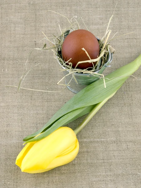 Brown Easter Egg Small Bucket Yellow Tulip Linen Background — Stock Photo, Image