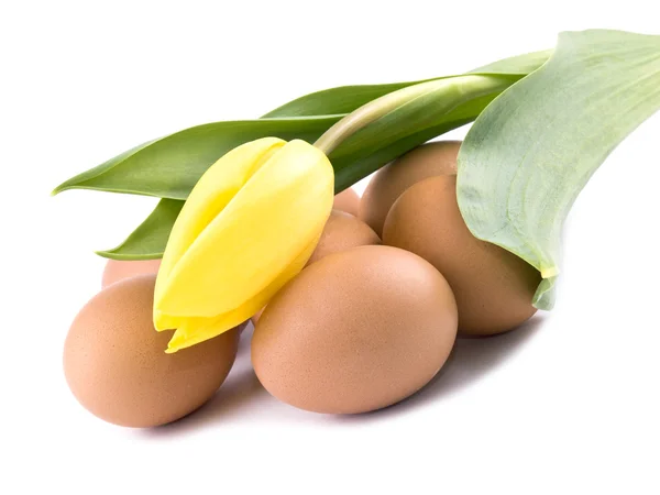 Fresh eggs and yellow tulip — Stock Photo, Image