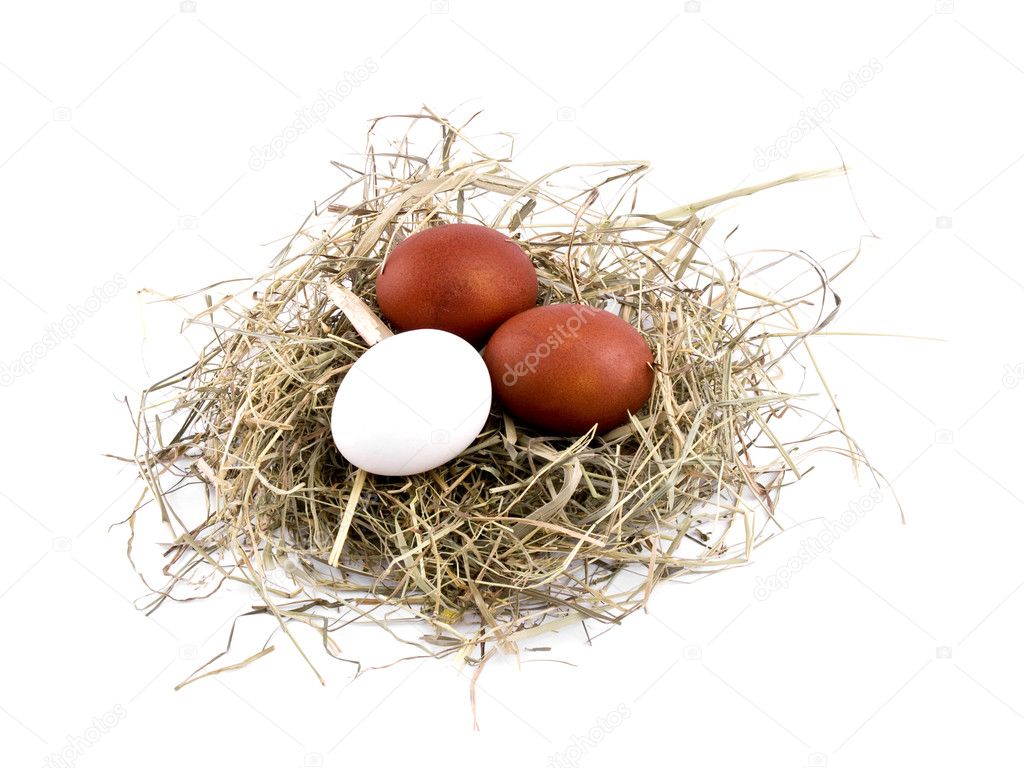 Two brown and one white easter eggs in nest on white background