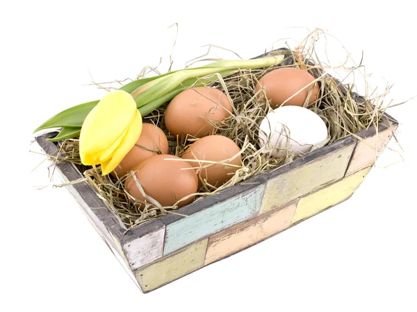 Easter decoration - eggs in flowerpot — Stock Photo, Image
