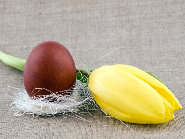 Húsvéti dekoráció - tulipán és a tojás — Stock Fotó