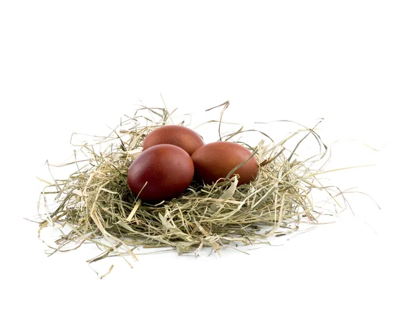 Brown Easter Eggs Nest White Background — Stock Photo, Image