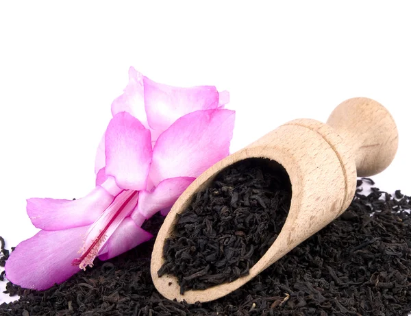 Aromatische zwarte thee, houten schop en roze bloem op wit — Stockfoto