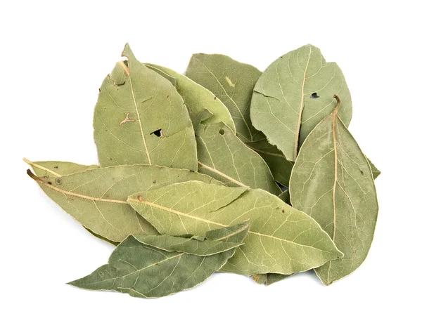 stock image Aromatic laurel leafs
