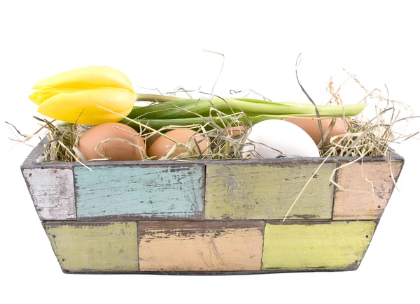 Easter decoration - eggs in flowerpot — Stock Photo, Image
