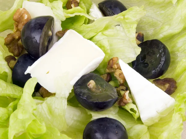 Imagem de close-up de salada saborosa — Fotografia de Stock