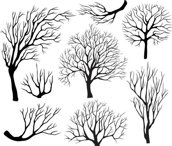 Set of silhouettes of trees