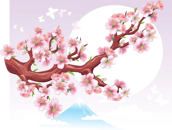 Flowering branch of sakura in the sun — Stock Vector