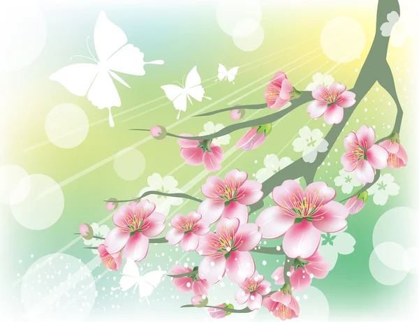 Branche de floraison — Image vectorielle