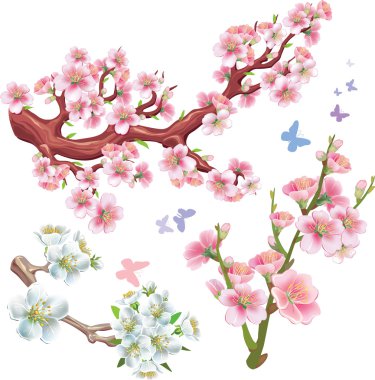 Set of flowering branches clipart