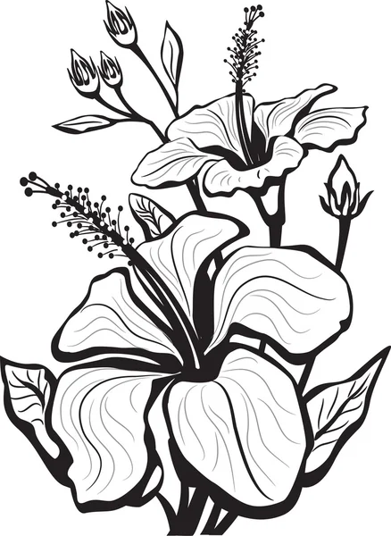 Esboço de flores de hibisco — Vetor de Stock