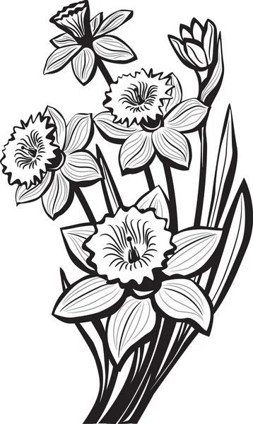 Schizzo di fiori di narciso — Vettoriale Stock