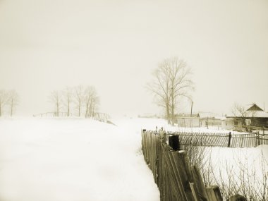 Karlı ağaç ve gri gökyüzü güzel kış manzarası