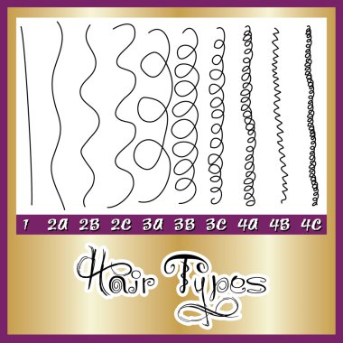 Hair Types Chart clipart