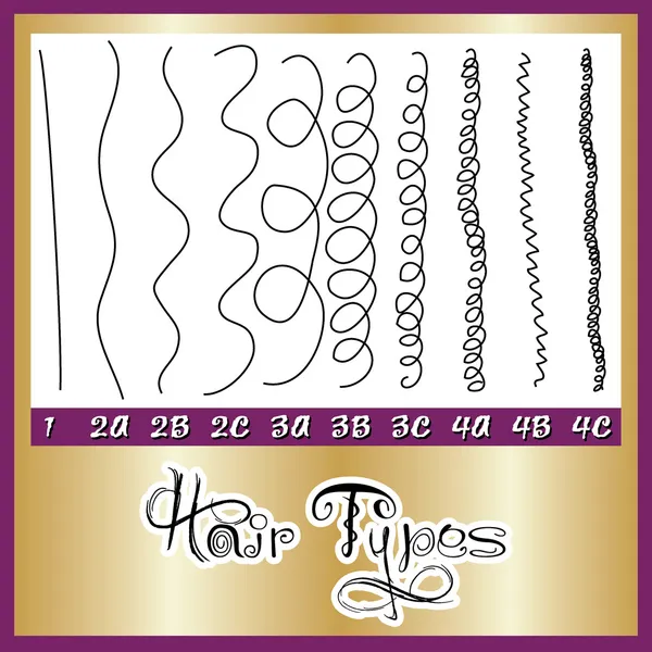Tabla de tipos de cabello — Archivo Imágenes Vectoriales