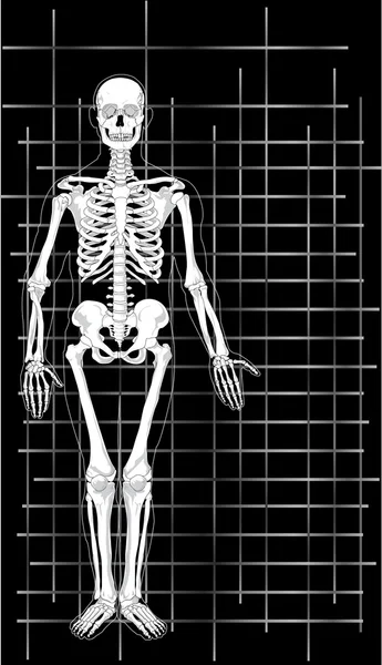 Skelett Visitenkarte 1 — Stockvektor