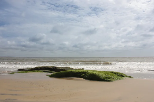 Lonely Beach Stenar Med Tång Rocha Tillstånd Norra Uruguay — Stockfoto